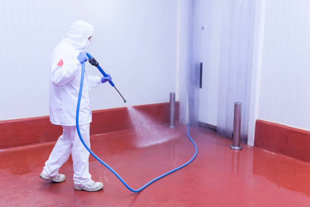 Best Soft Washing  in Hagerstown, MD